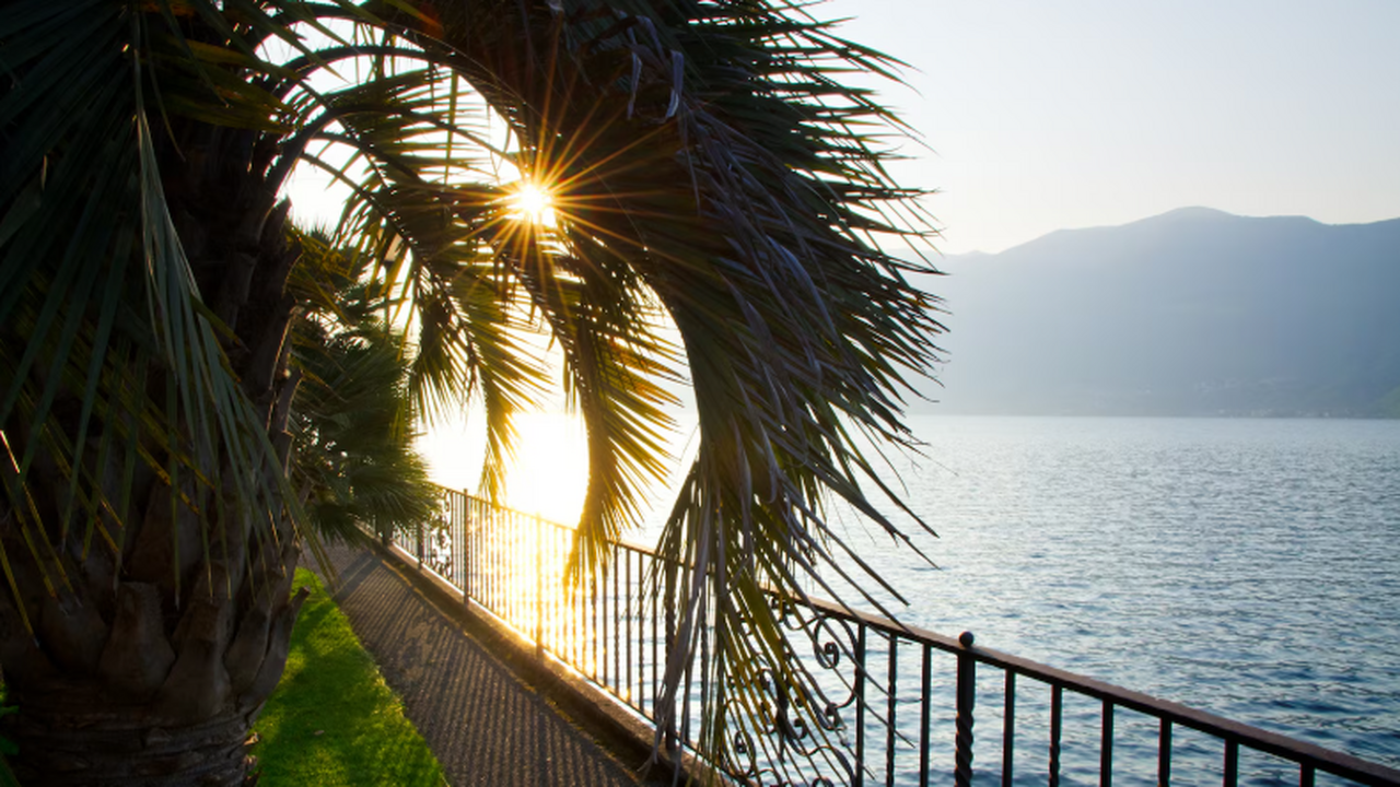 Идеальный город для жизни по мнению россиян: Сочи лидирует с большим отрывом Около 30% россиян назвали Сочи лучшим местом дл...