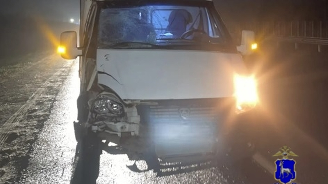 Водитель автомобиля «Газель» сбил пешехода