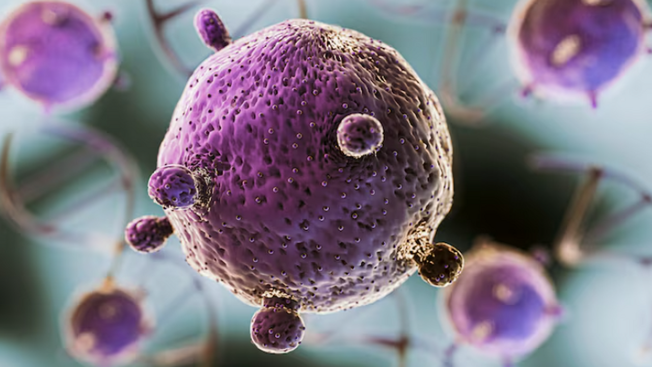 Команда центра Фокса Чейса изучила связь между ...