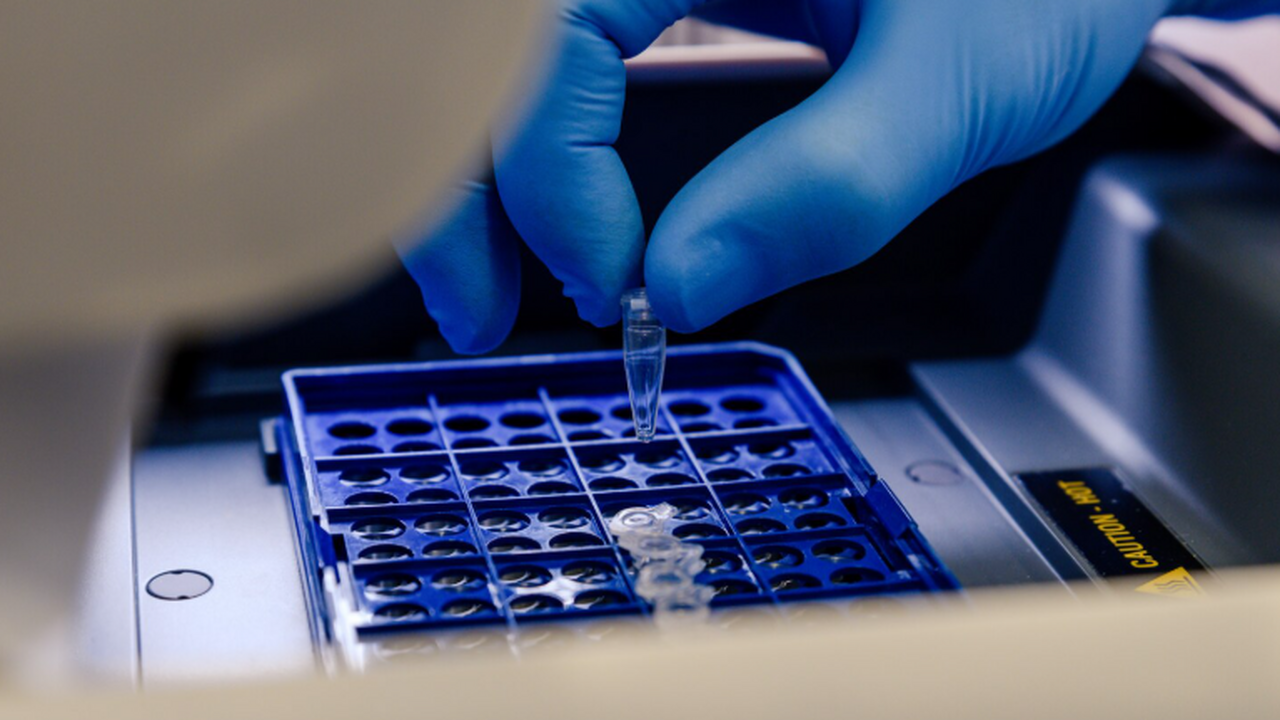 Новая стратегия усилила свечение родопсинов в 1,5 раза при красном свете Учёные СПбГУ и коллеги при поддержке РНФ предло...