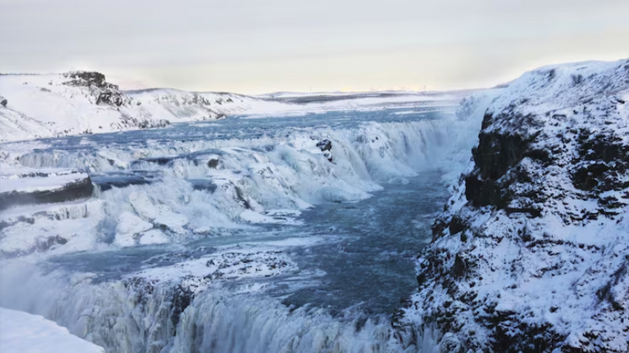 Нечто в океане: ученые нашли и сняли у Антарктиды гигантский «шар смерти» Южный океан снова подтвердил репутацию самого з...