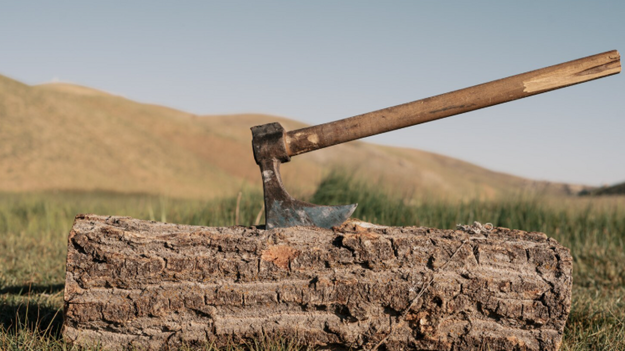 Исследователи датировали стоянку Наморотукунан ...