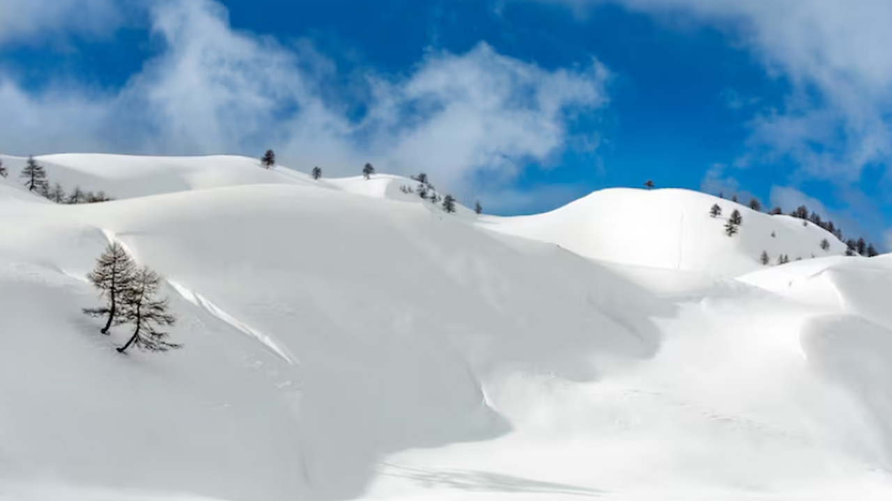 Евгений Тишковец сообщил РИА Новости о гигантск...