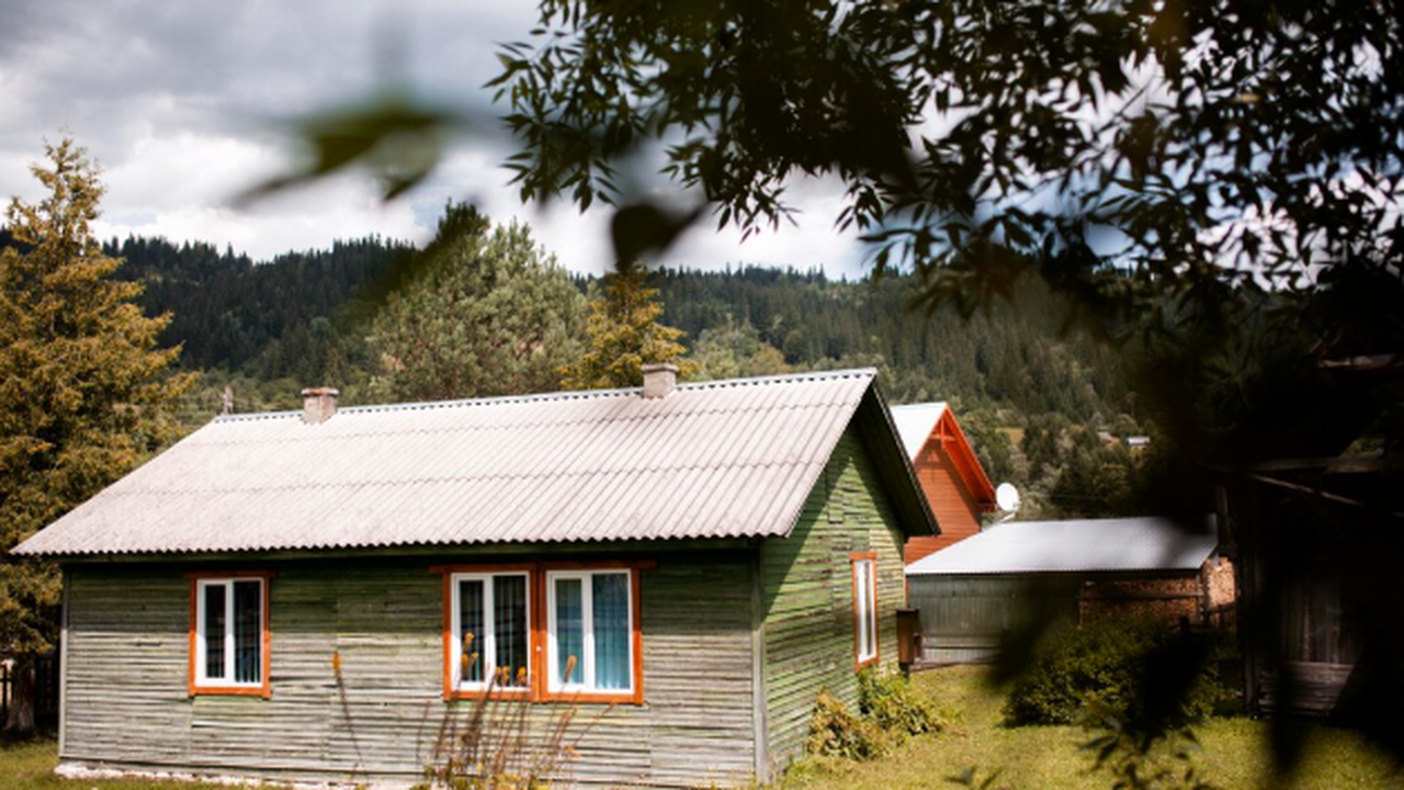 С 1 марта за клен на участке — штраф до 700 тыс...