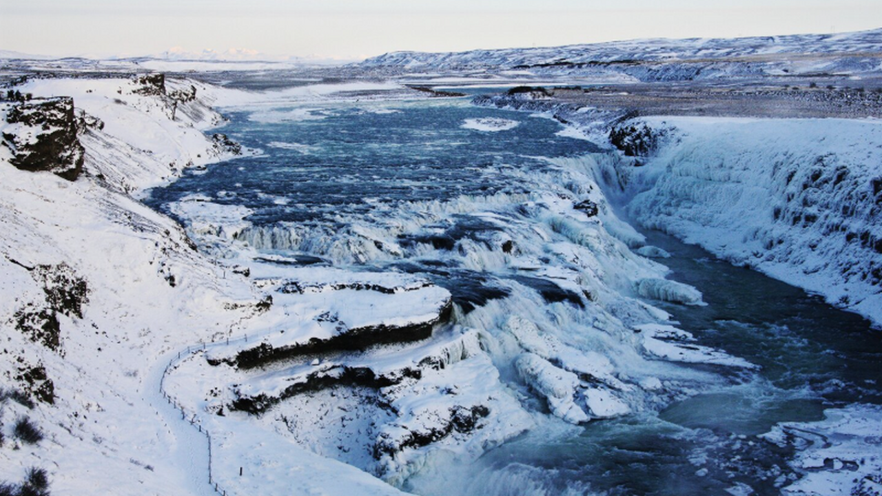 «Шар смерти» и сияющие черви: экспедиция нашла 30 новых видов глубин Группа ученых сообщила о находке более тридцати...