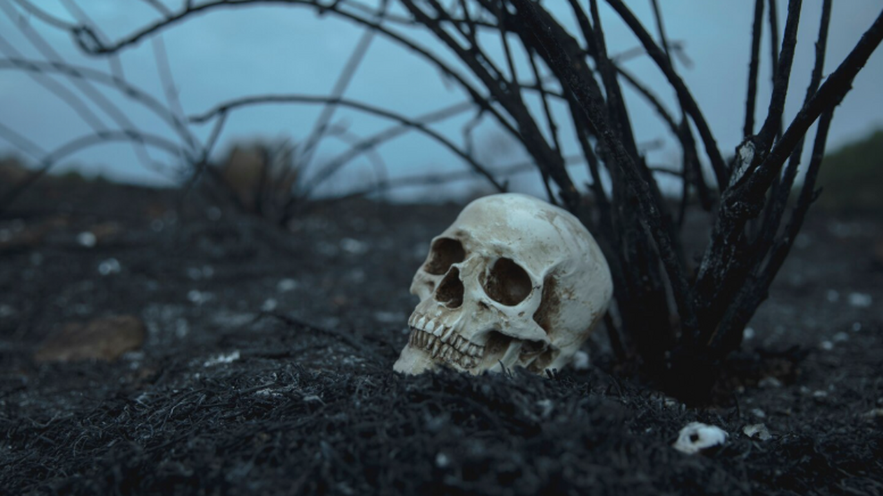 Полный скелет Homo habilis впервые показал внеш...