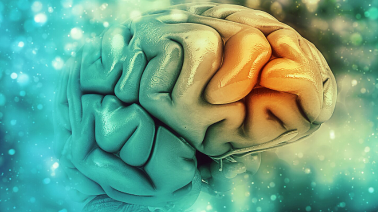 Новое исследование показало, как альфа-синуклеи...