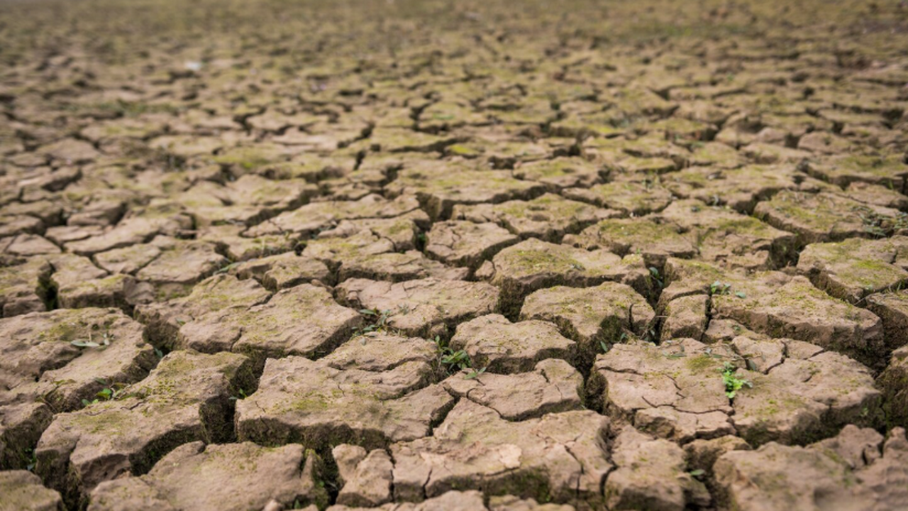 NC: длительная засуха пересматривает историю «гибели» цивилизации долины Инда Анализ климата и гидрологии показывает: её исто...