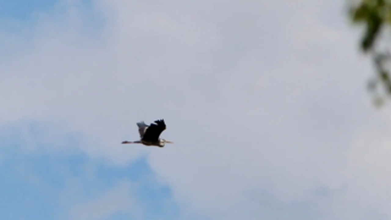 Такие выводы основаны на некорректной интерпрет...