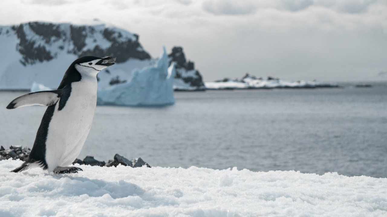 ANITA зафиксировала «восходящие» сигналы из‑под льда Антарктиды ANITA, антарктический радиодетектор NASA, обнар...
