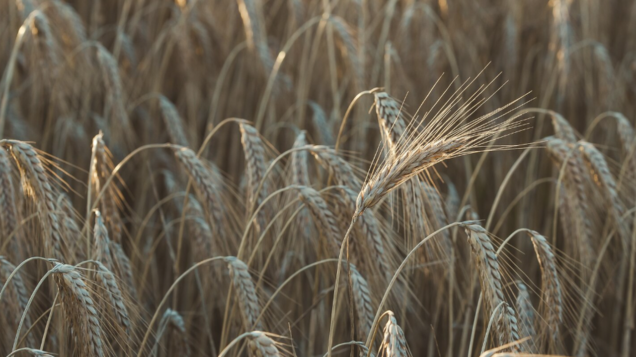 Китайские учёные предложили интегрированную сис...
