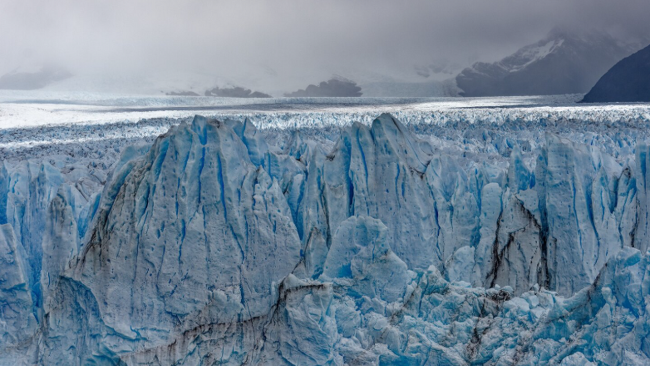 Редакция «PLoS One» отозвала исследования о пад...