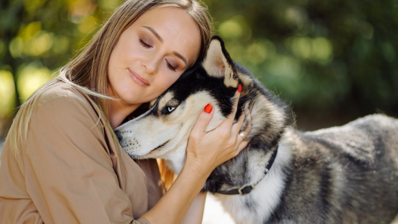 Восприятие людьми эмоций собак зависит от их со...