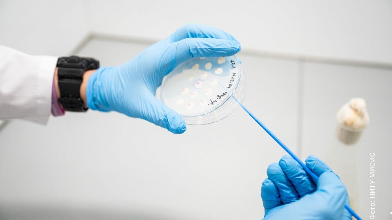 Гель помогает эффективно бороться с кариесом