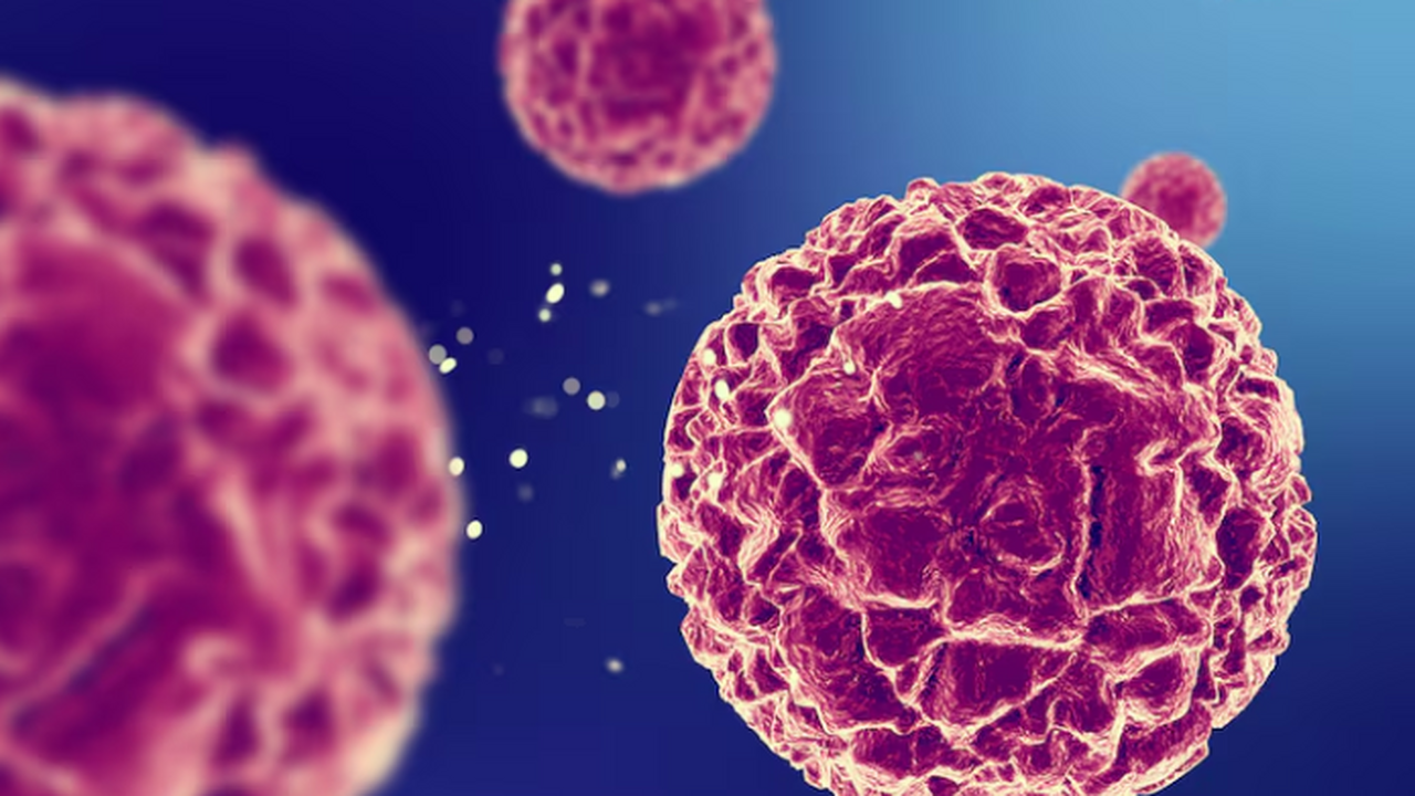 В Волгограде разработали препараты для «разоружения» опухолевых клеток В Волгограде разработан новый класс препаратов,...