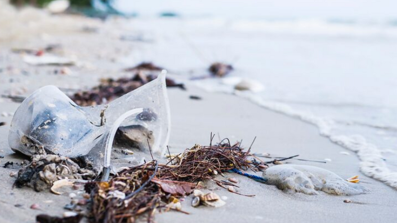 Российские туристы шокированы состоянием пляжей Фукуока На пляжах Фукуока, включая Кхем и Сао, скопилос...