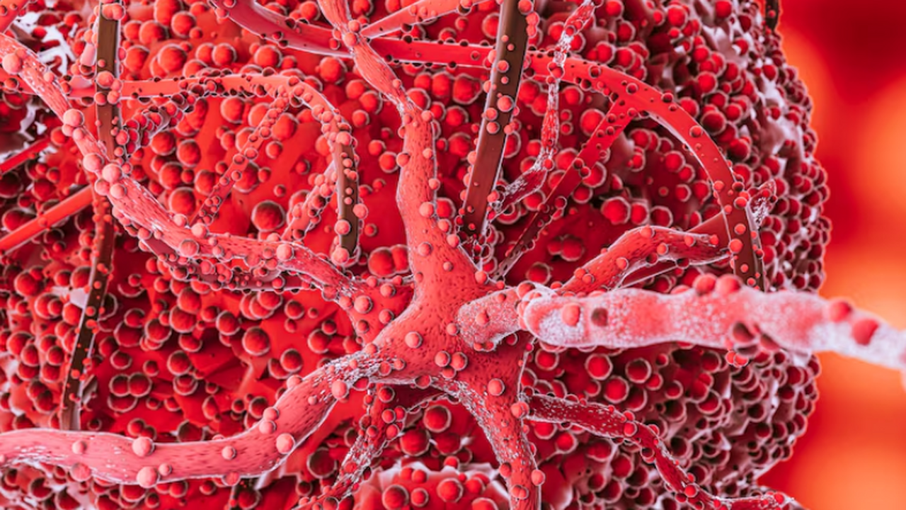 Исследователи из МФТИ и зарубежных вузов создал...