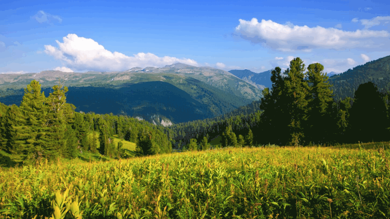 Исследование показало, что позитивные переломы ...