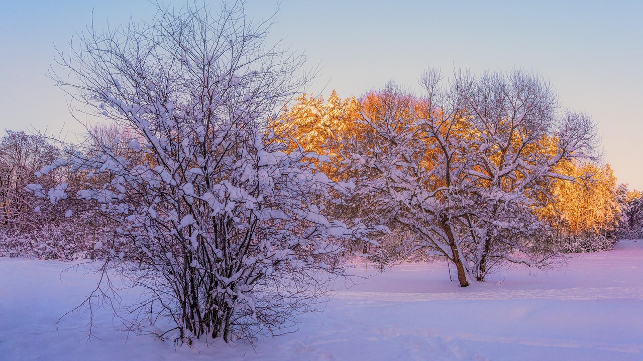 В губернии объявили желтый уровень погодной опа...