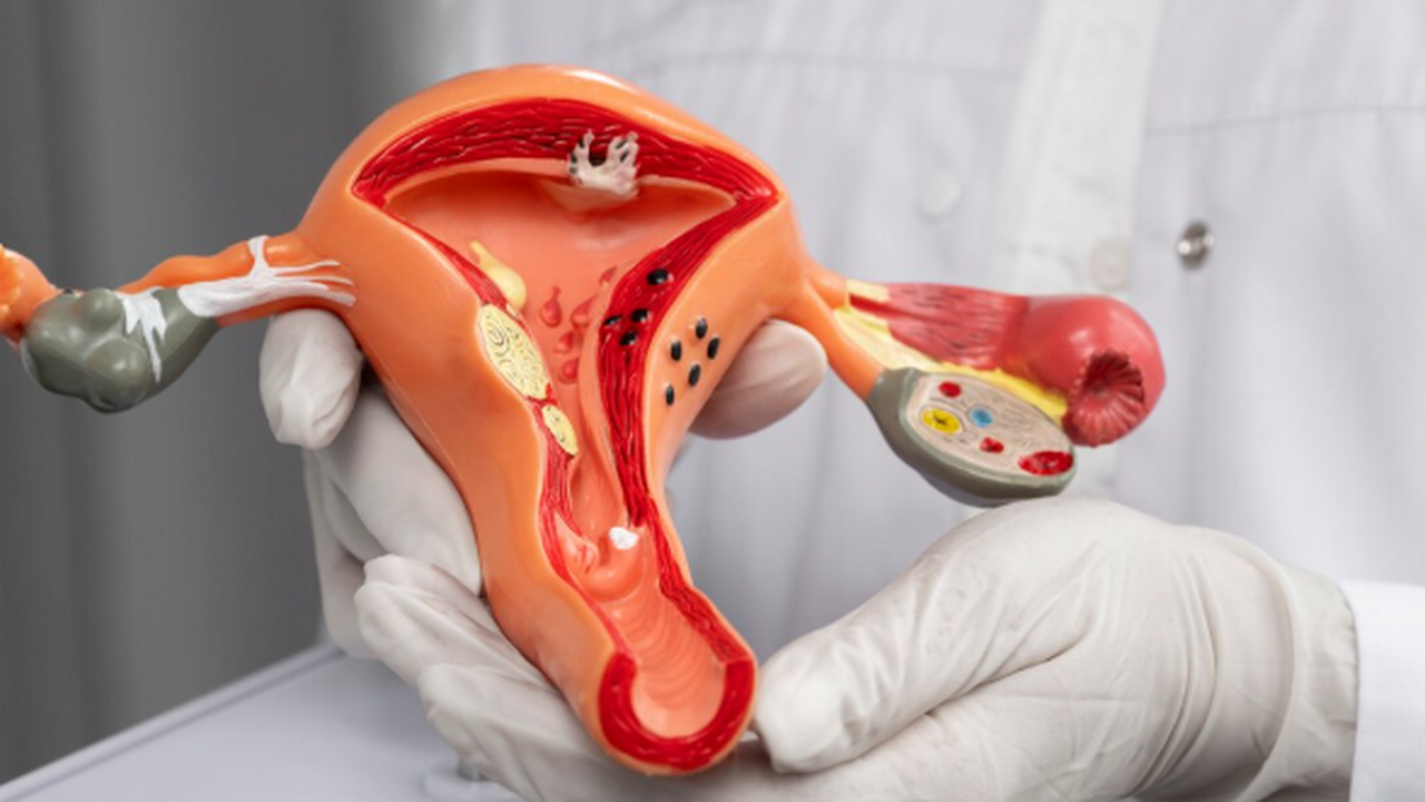 В России с 2026 года расширят программу диспанс...