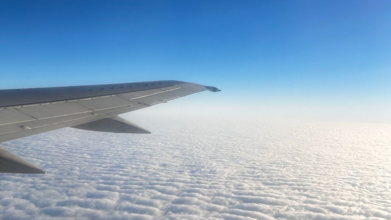 В понедельник 17 декабря пассажиры международно...