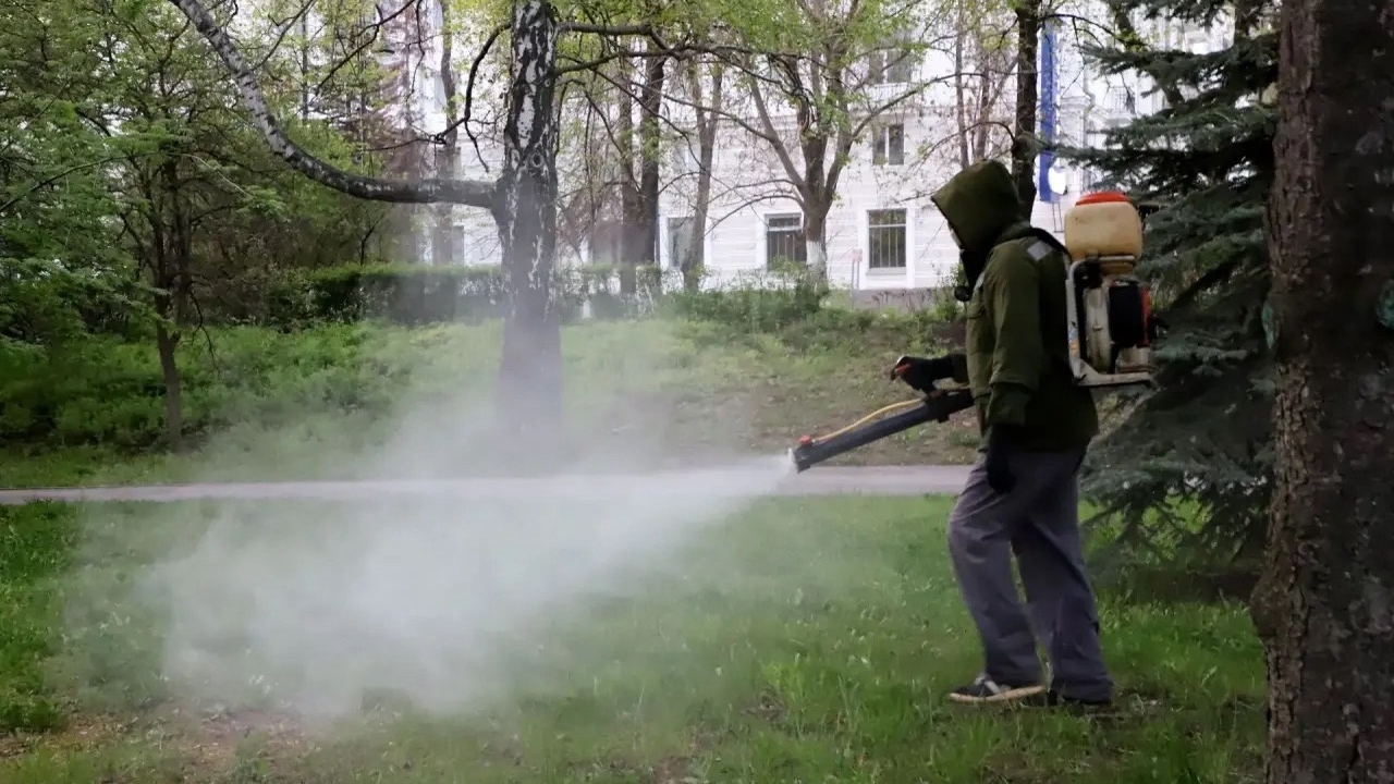 Клещи предпочитают тенистые и влажные места