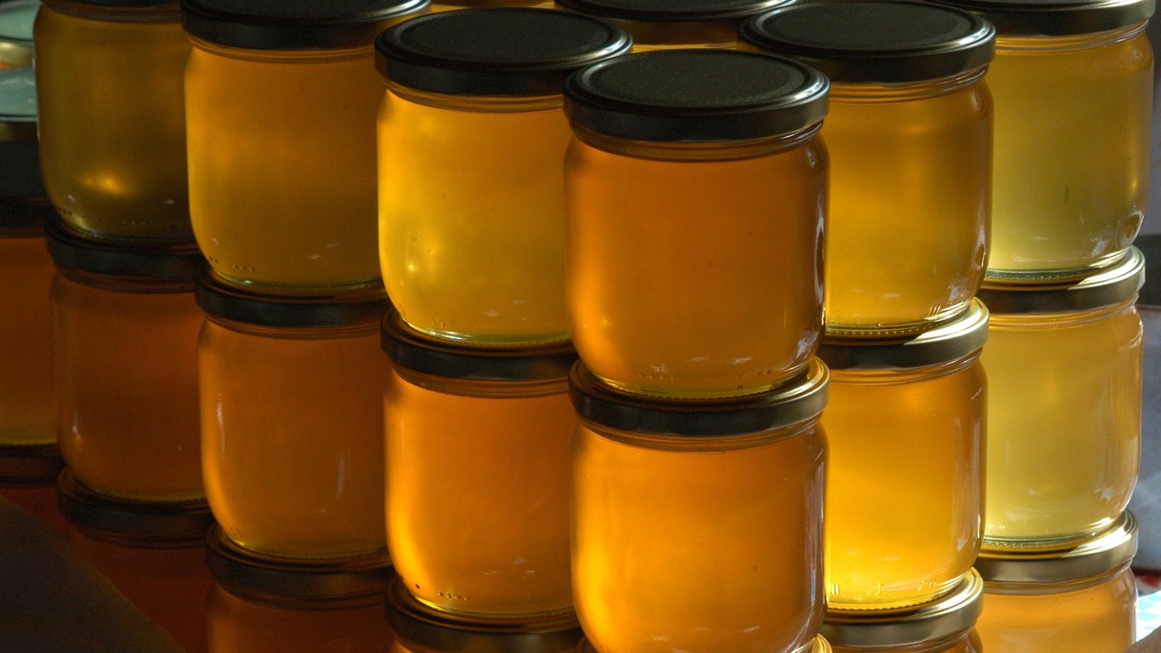 Россельхознадзор проверил 100 партий грузов в аэропорту Курумоч Изъято более 20 кг продуктов без ветеринарных с...