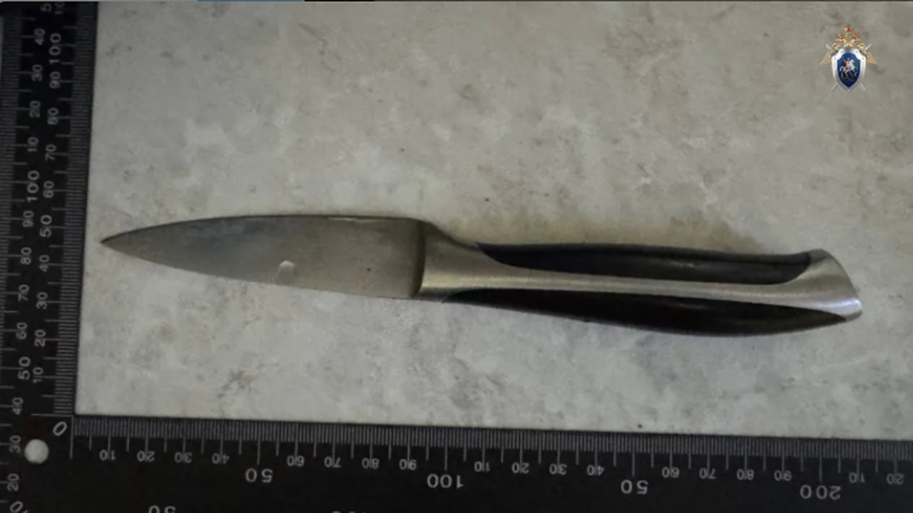 Смертельное ранение было нанесено в ходе пьяной...