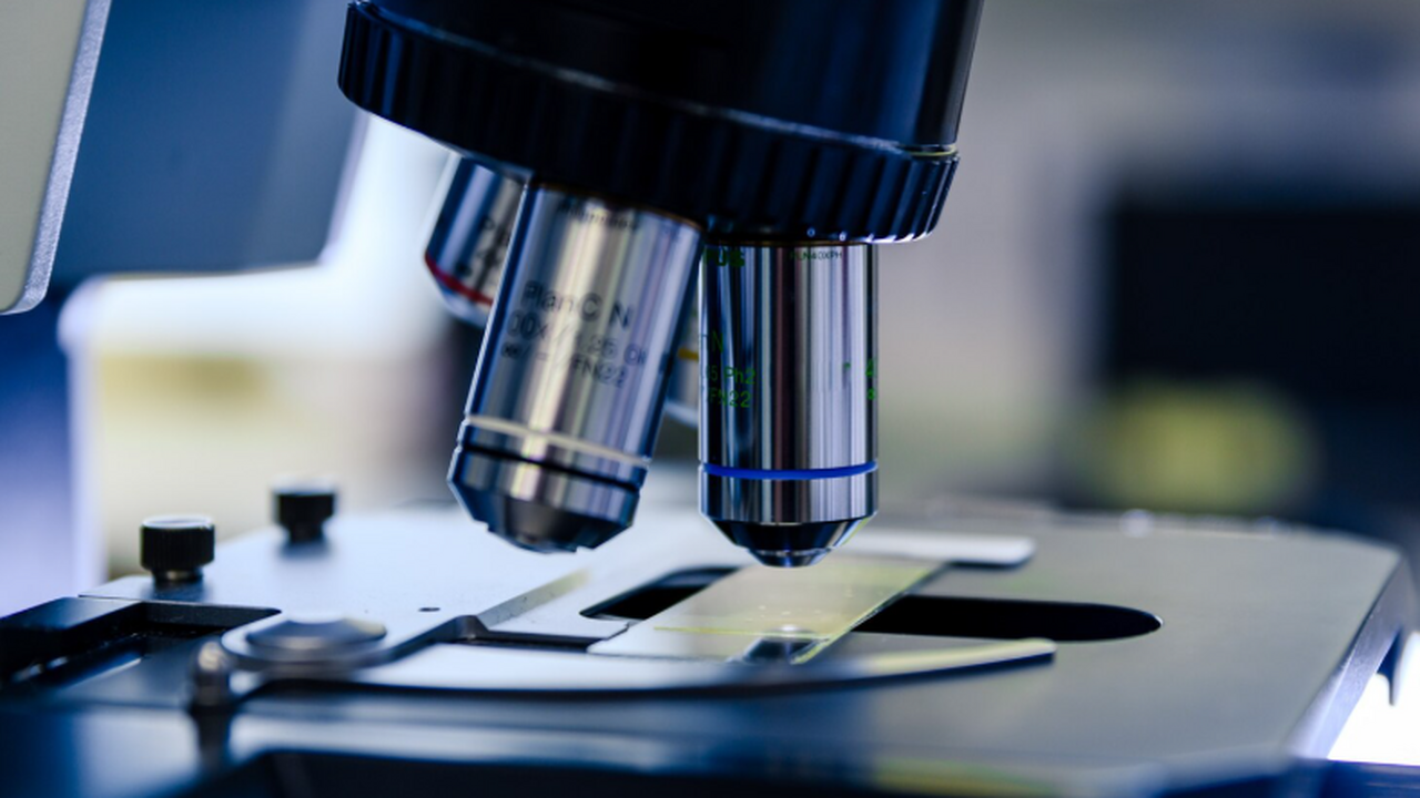 Исследователи МГУ предложили новый подход к таргетированной терапии рака Российские учёные изучили белок p53 и его влиян...