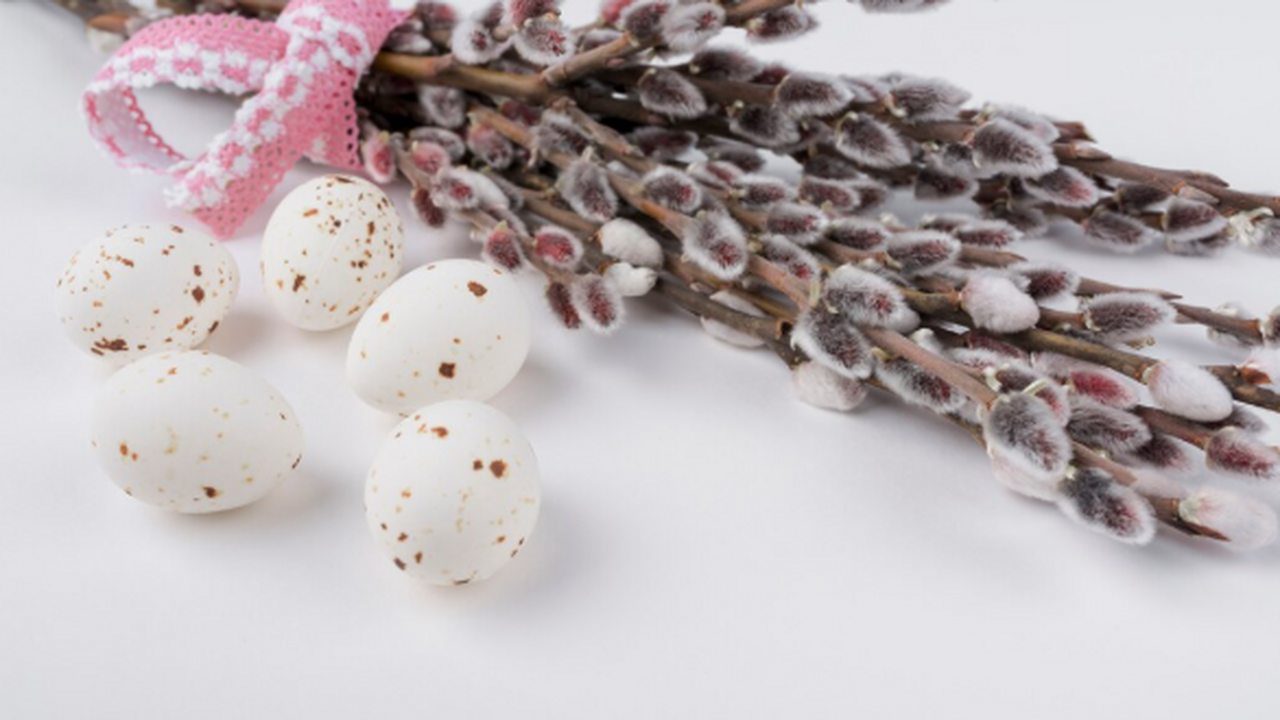 Вербное воскресенье 2026 - смысл праздника и его духовное значение Православный праздник Вербное воскресенье, изве...