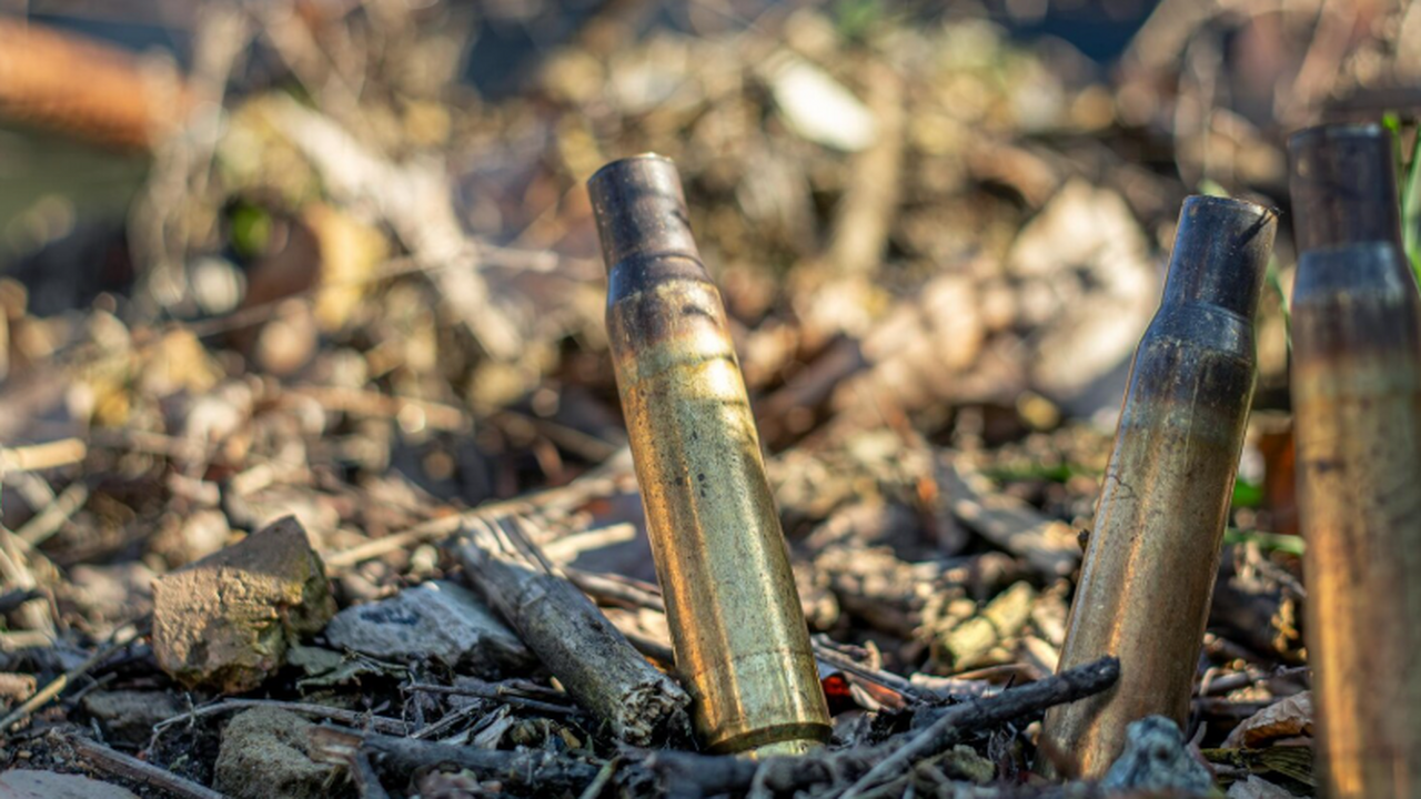 Группа ученых выявила более сотни боеприпасов в...