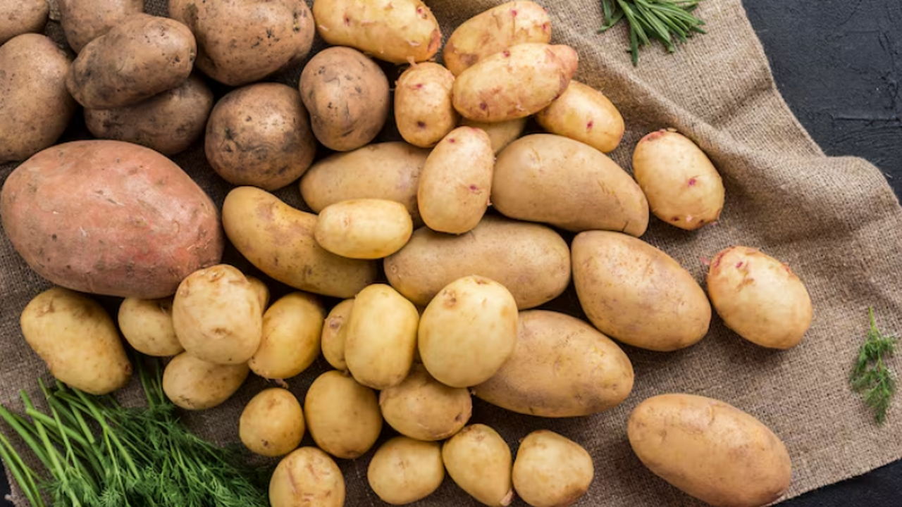 Ученые создали сферические наночастицы из нитев...