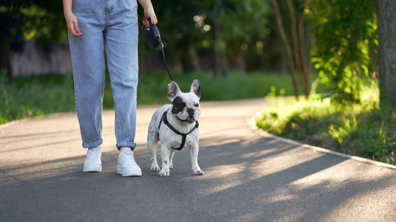 Юрист МГЮА рассказала о штрафах и судебной комп...