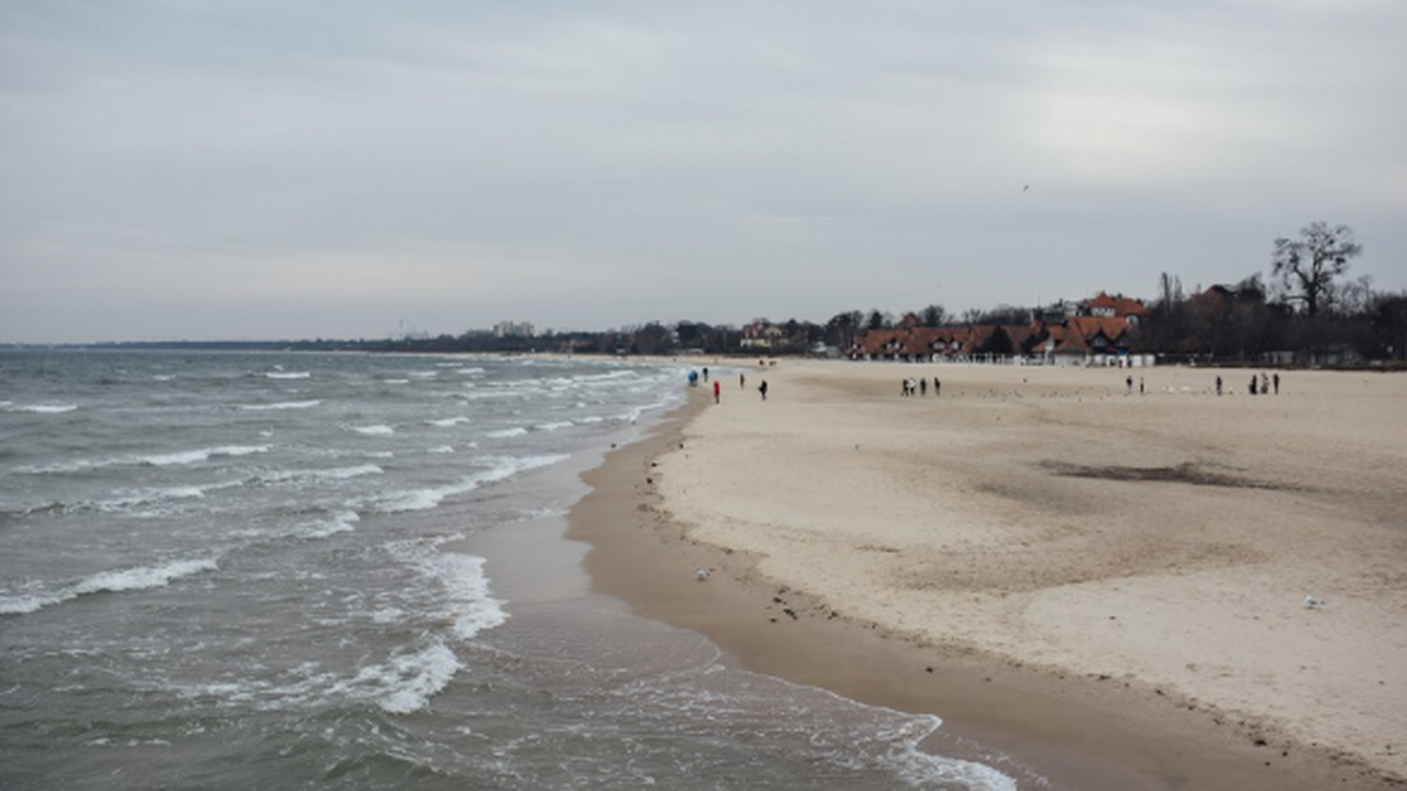 Заявление Роспотребнадзора о перспективах откры...