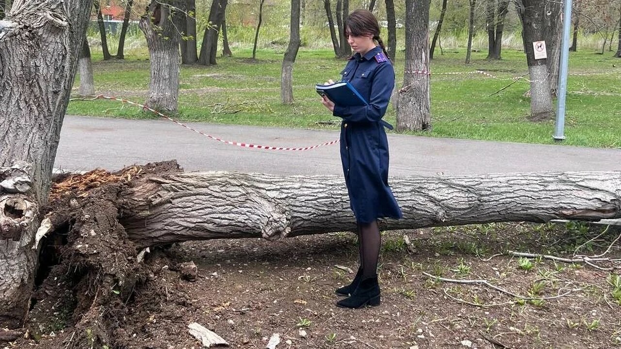 Девочка получила смертельные травмы, вторая пос...