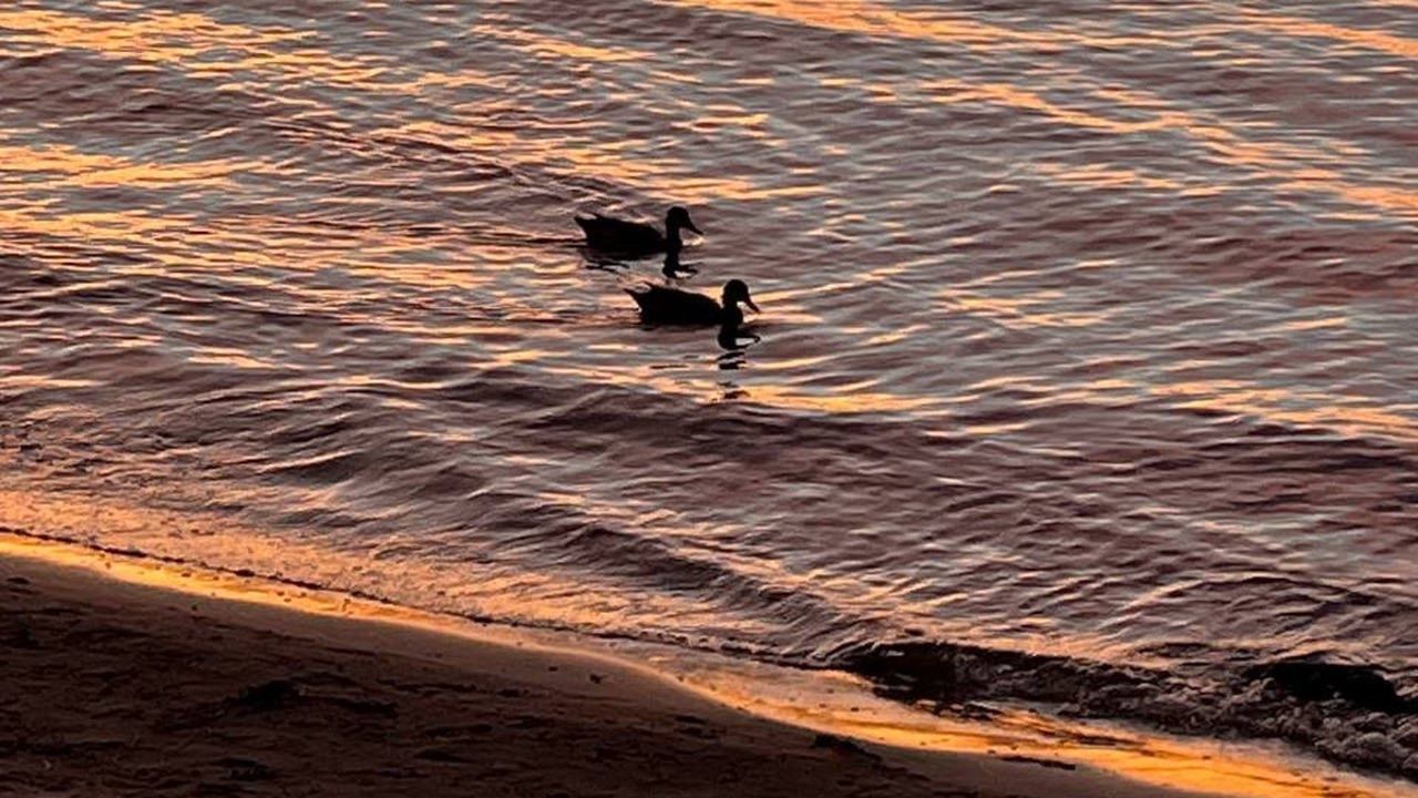 В Самарской области вода в Волге охладилась до +12 °C Температура воды в Волге в пределах Самарской о...