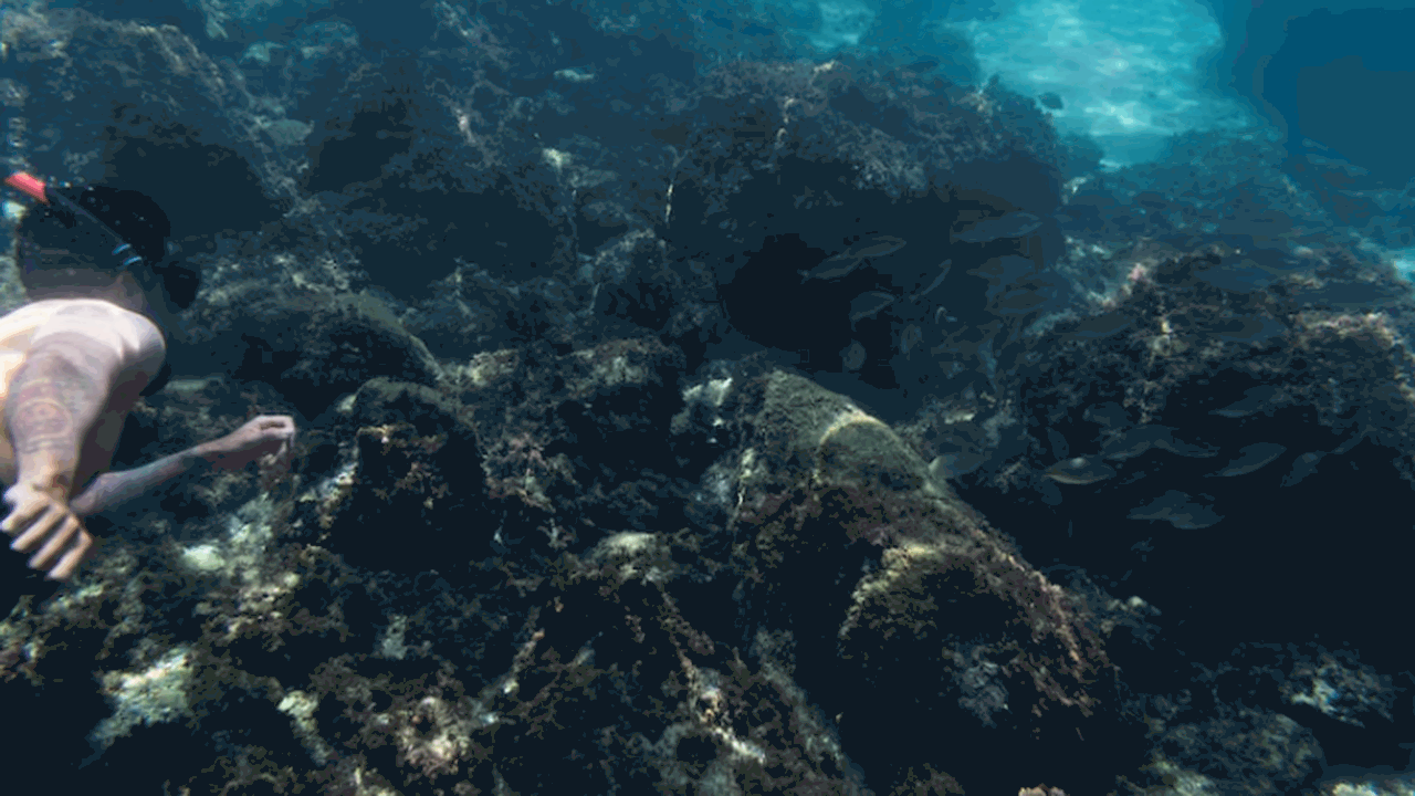 В ЮФУ создали уникальную антенну для изучения морского дна Разработка ПИШ ЮФУ позволяет исследовать морско...