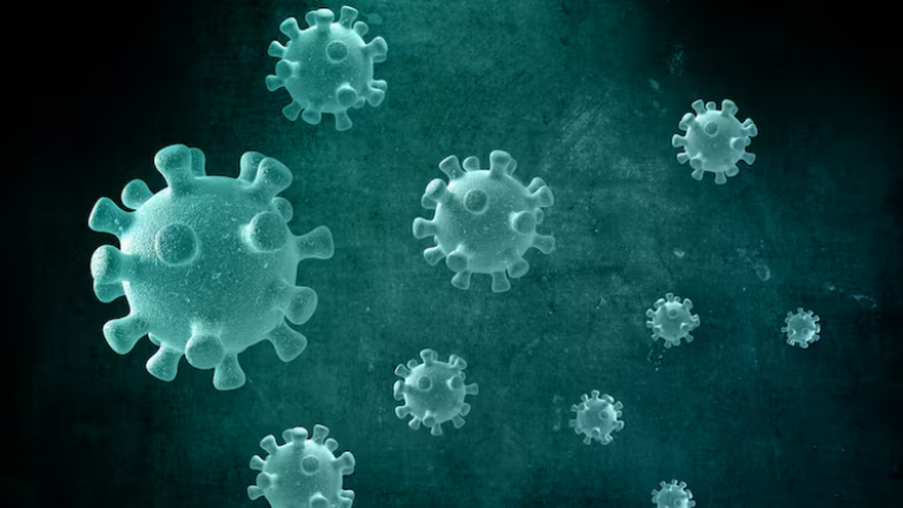 Исследование UTS доказало, что SARS-CoV-2 может...