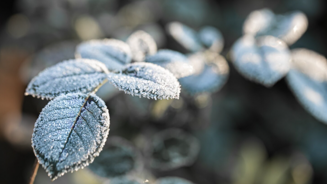 Россию накроют аномальные морозы: до минус 50 в Сибири и Якутии В ближайшие дни на значительной территории Росс...