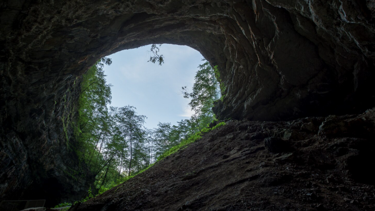 В пещере Скэришоара найден 5000-летний штамм ба...