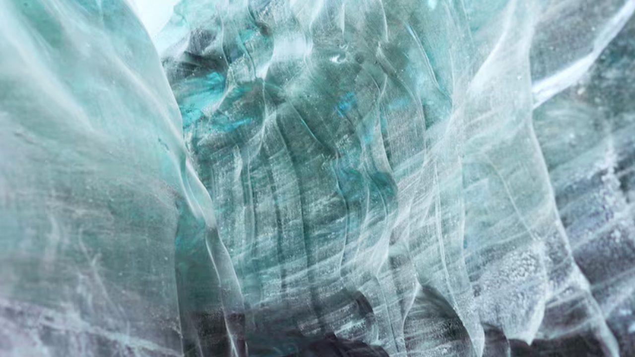 Psychrobacter SC65A из ледяной пещеры проявляет...