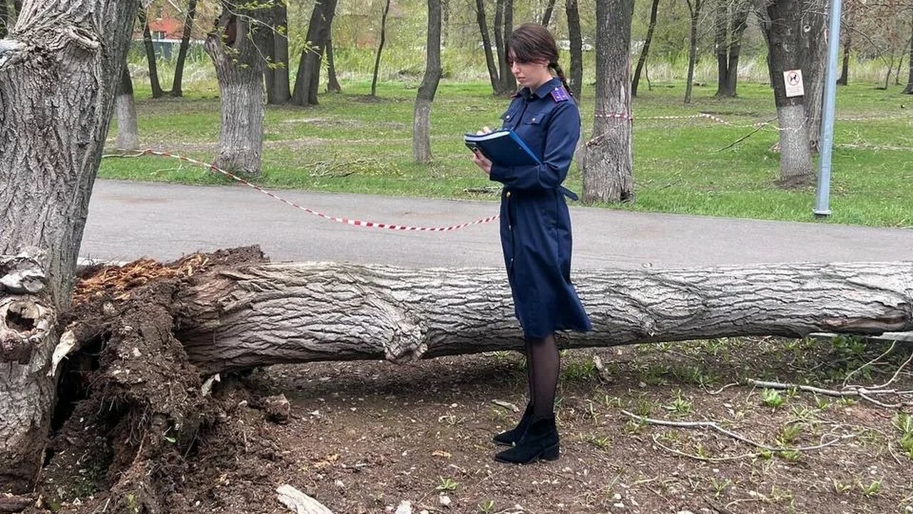 Трагедия произошла 27 апреля в парке «Дубовая р...
