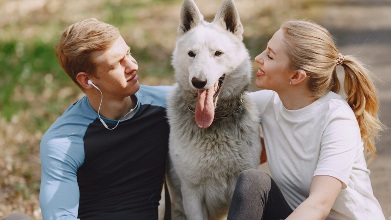 Вновь описанный вид бактерий Rickettsia finnyi ...