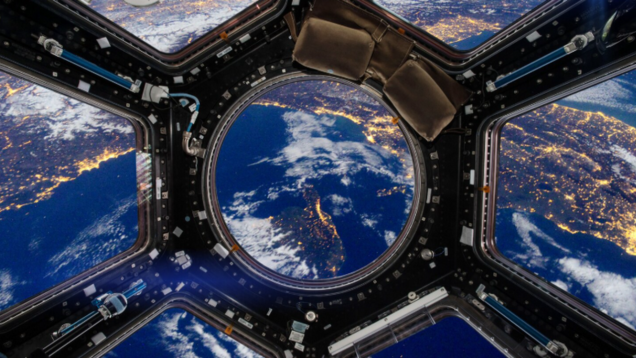 Российские учёные планируют вырастить паращитов...