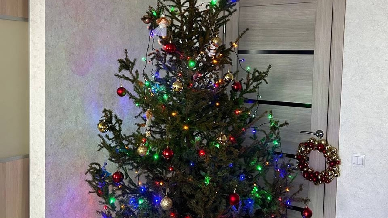 В России на фоне тёплой зимы зафиксированы случ...