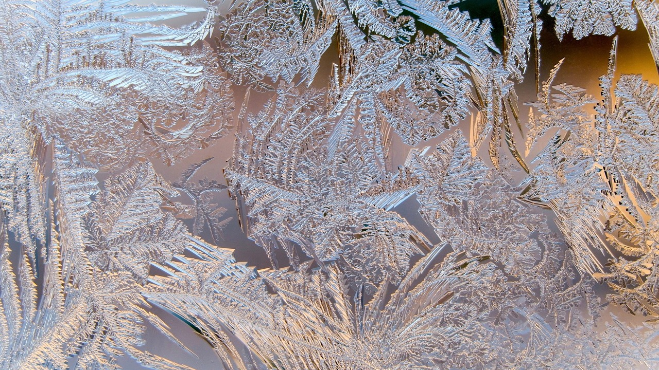 Спасатели просят граждан по возможности сокраща...