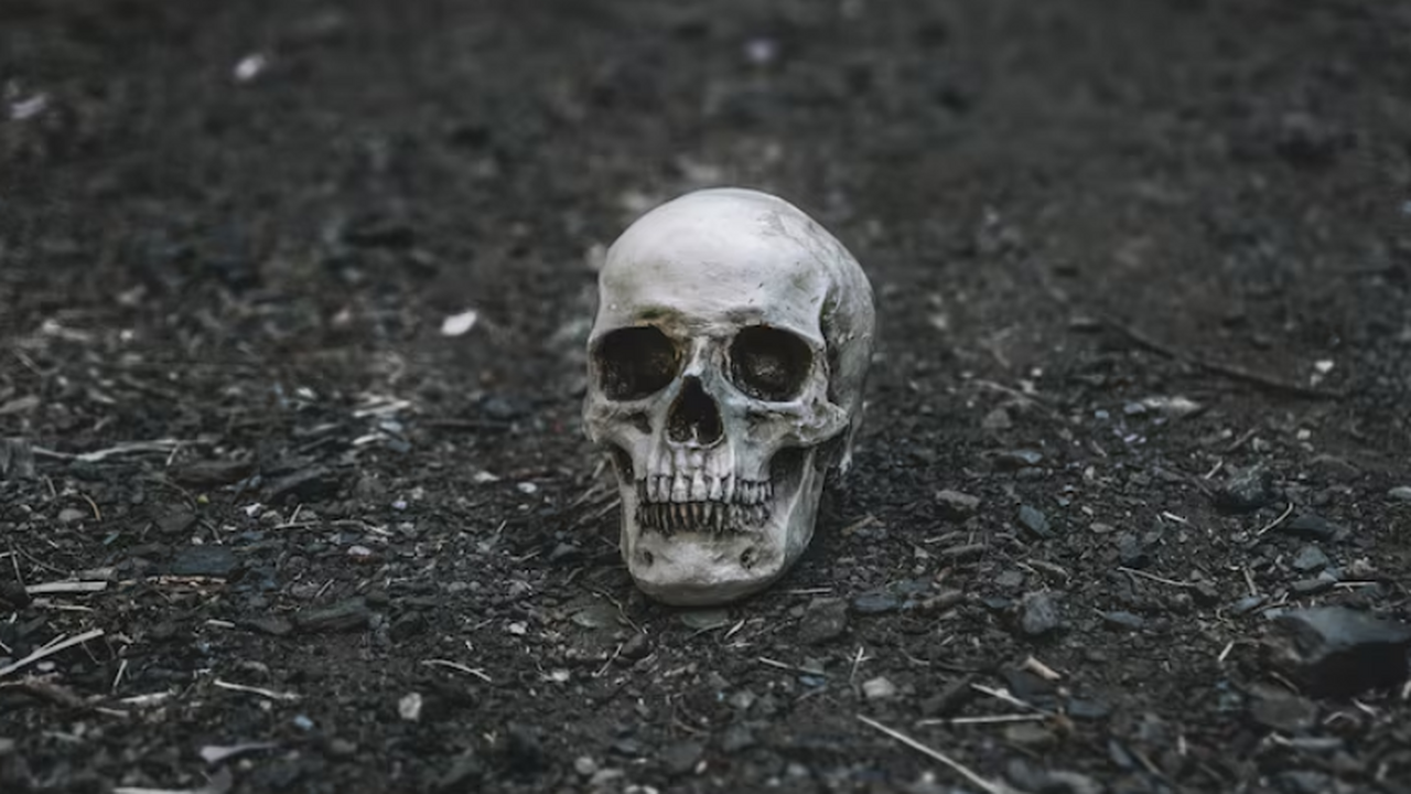В зубном камне короля нашли тысячи фрагментов ДНК Скелет Ричарда III, найденный в 2012 году на ме...