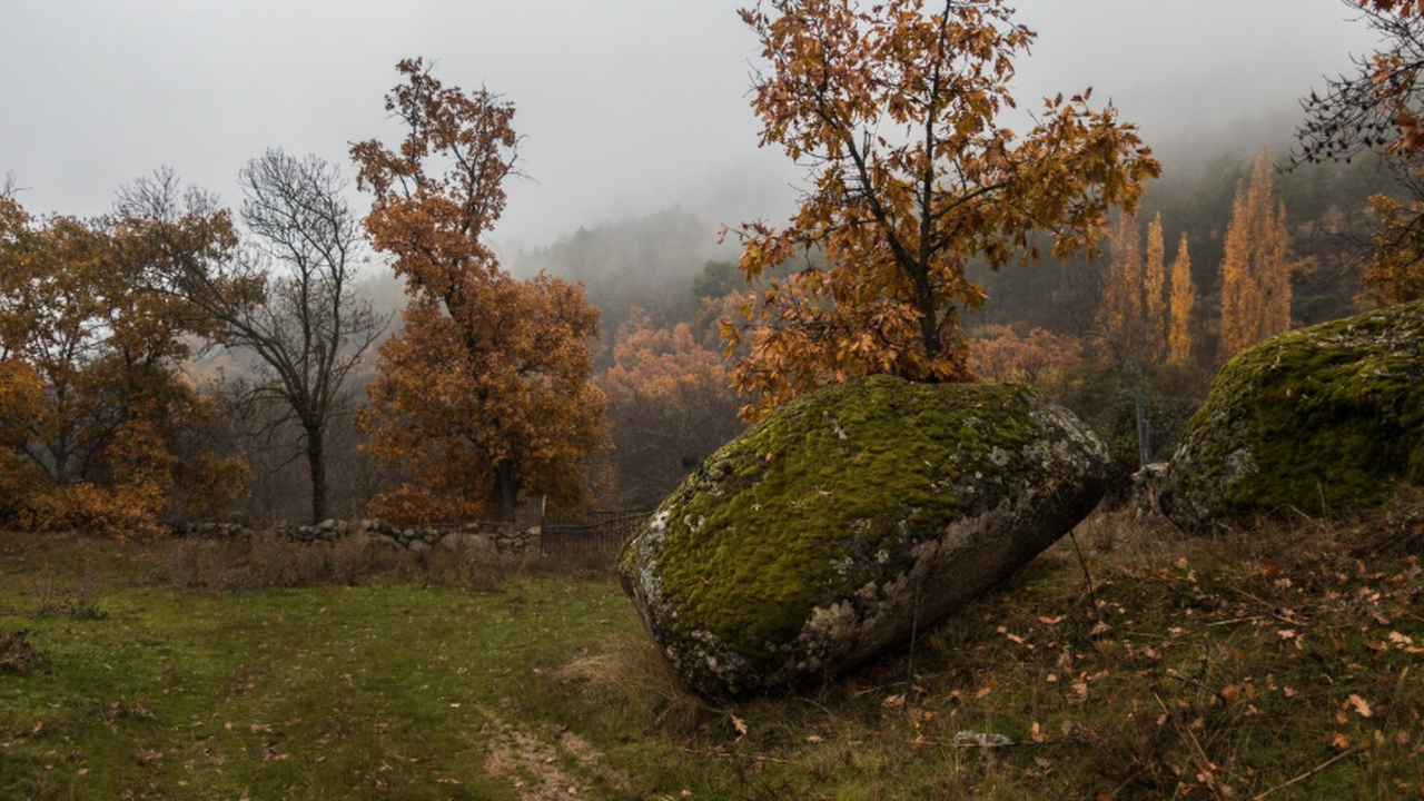 Архивное аэрофото 1941 года показало следы круп...