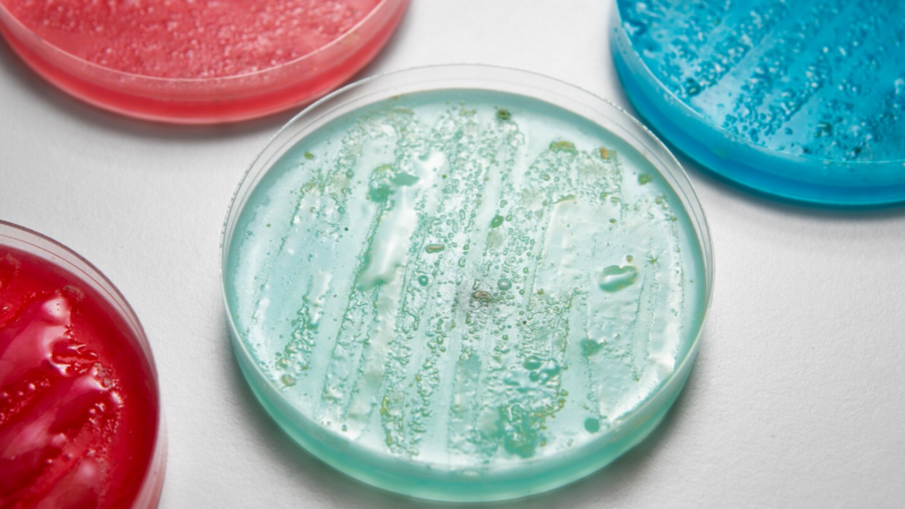 В Твери разработали покрытие из меди на стали, которое за час убивает бактерии В Твери создана технология модификации нержавею...