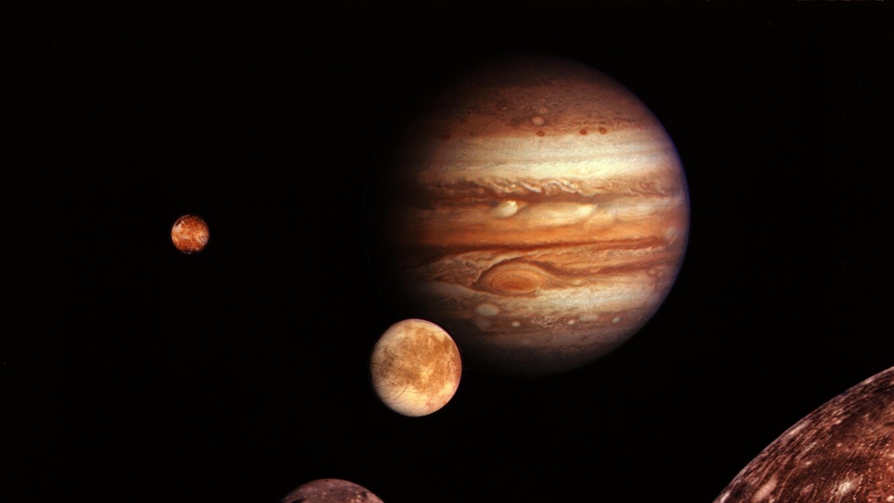 Она была возможным кандидатом на наличие живых ...